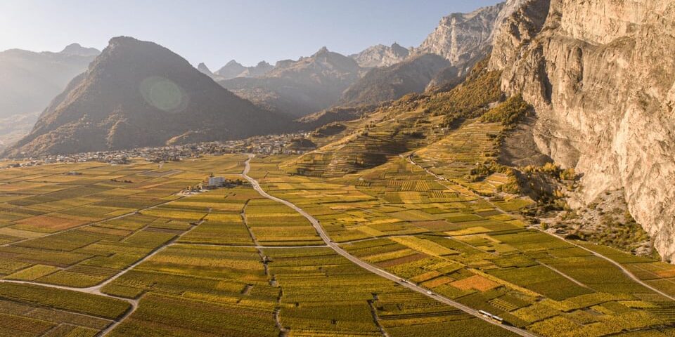 guillaume-bodin-859941