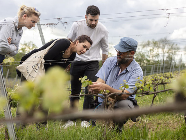 PHOTO_FRANCIS ROUSSET_1